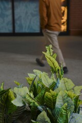 ある日のShopping mall ③。。。！