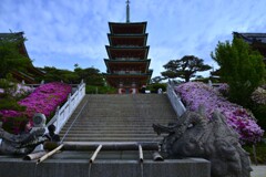 ツツジ咲く西日本耕三寺。。。！