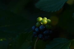 これから淋しい秋です　④。。。！