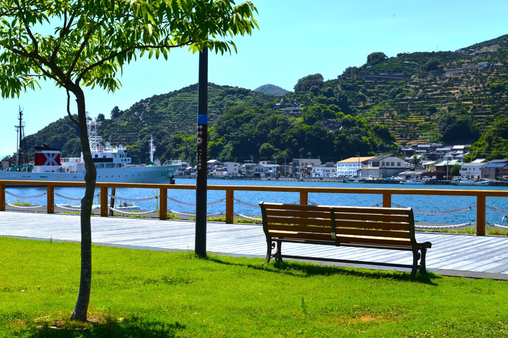 夏のみなと公園　①。。。！