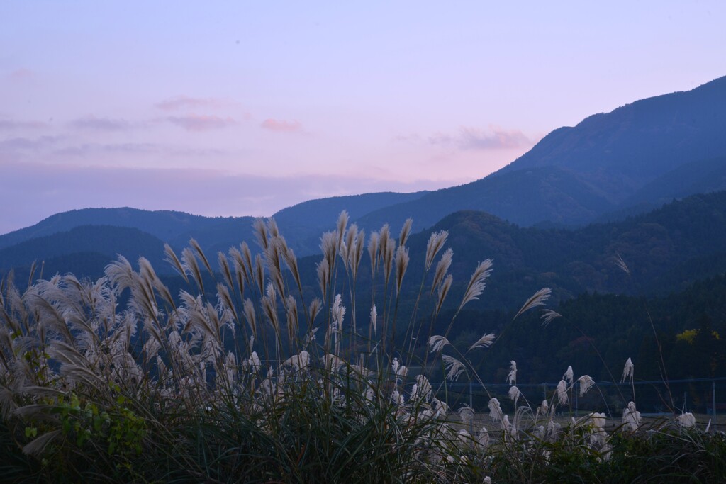夕暮れ山の海原　②。。。！