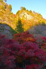 錦絵の古岩屋　①。。。！