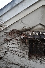 蔵の窓。。。！