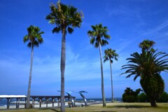 summer　beach　①。。。！