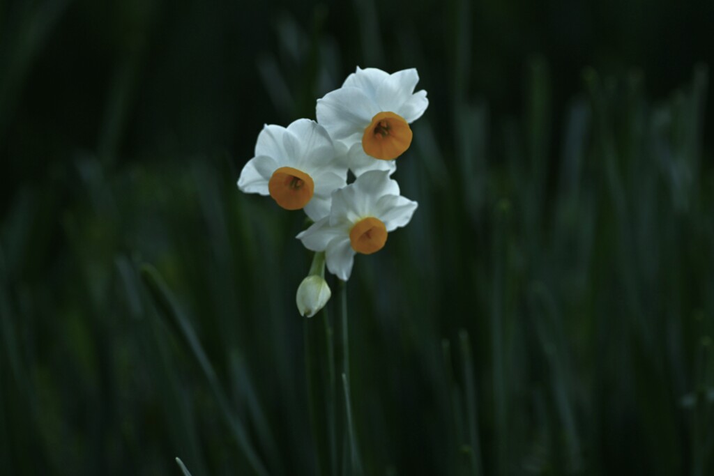 優しさと刹那さと心強さと　②。。。！