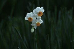 優しさと刹那さと心強さと　②。。。！