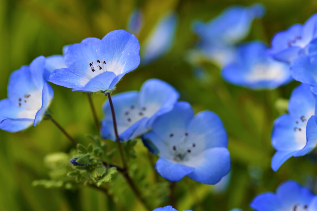 青いリボン。。。！