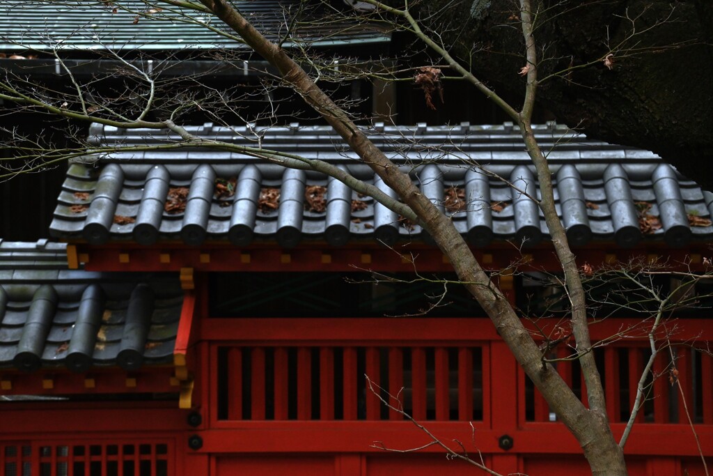 お稲荷さん参り　②。。。！