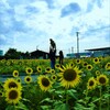 たかい、たかい、。。。！