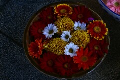 艶やかに　②。。。！