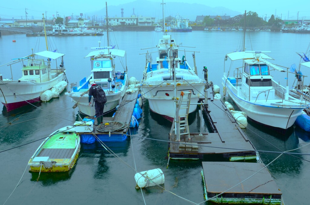 雨に煙る漁港　①。。。！