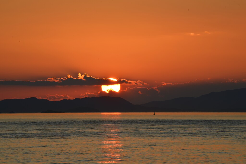 夕陽に集う　①。。。！