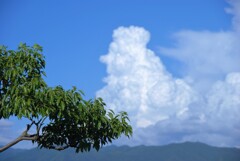 夏空と公園　①。。。！