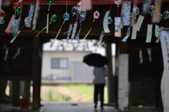 涼風を誘う　➂。。。！