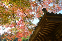 西山興隆寺　⑥。。。！
