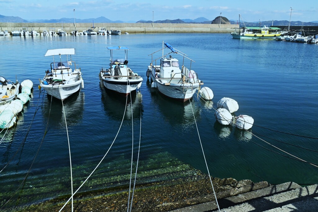 爽快な冬晴れ　⑤。。。！