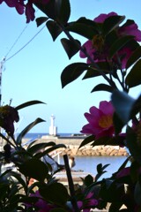 春よ来い来い　➁。。。！