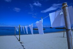 最後の夏フェス　➂。。。！