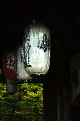 下鴨点描　➁。。。！