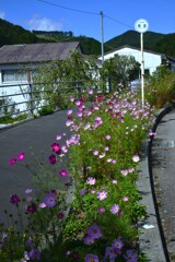 秋風の山里　➂。。。！