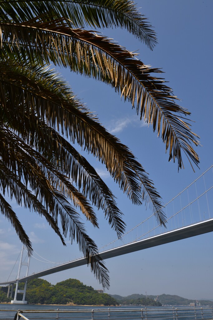 初夏の来島海峡。。。！