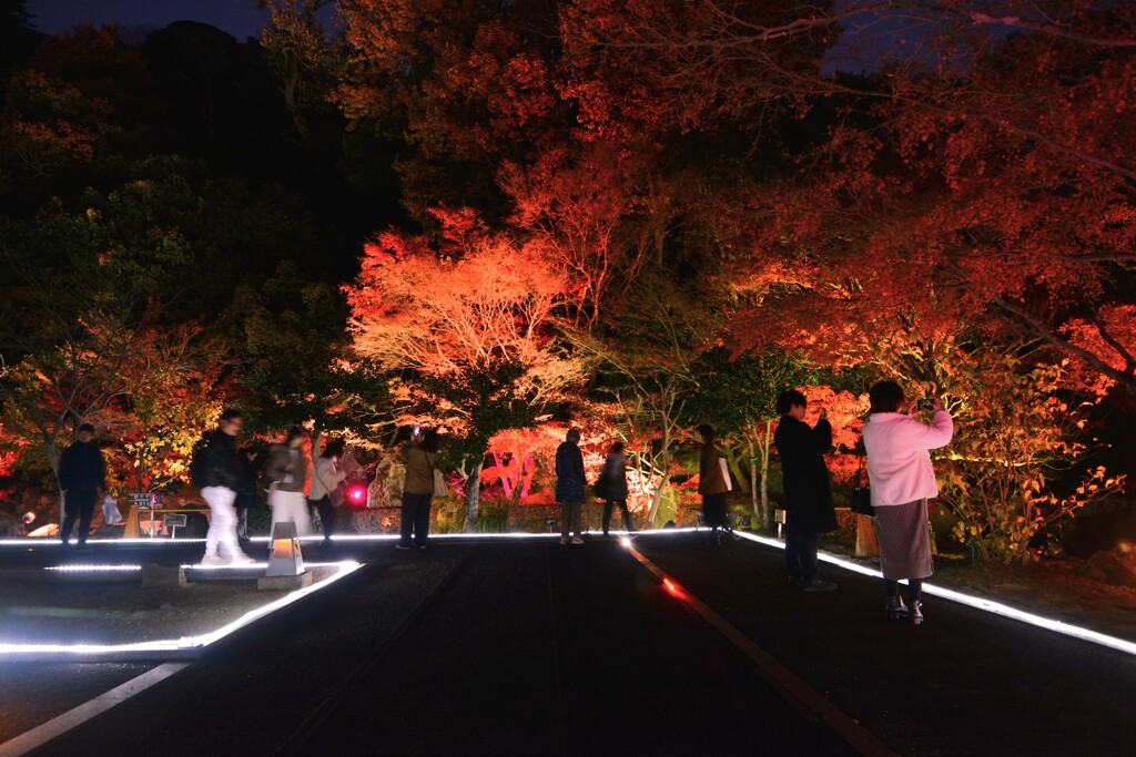 初冬の二の丸庭園　⑤。。。！