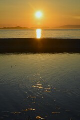 母と子の海　②。。。！