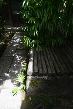 退蔵院の夏　①。。。！