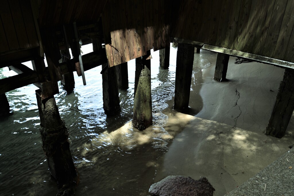 龍神社と海中鳥居　③。。。！