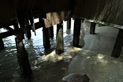 龍神社と海中鳥居　③。。。！