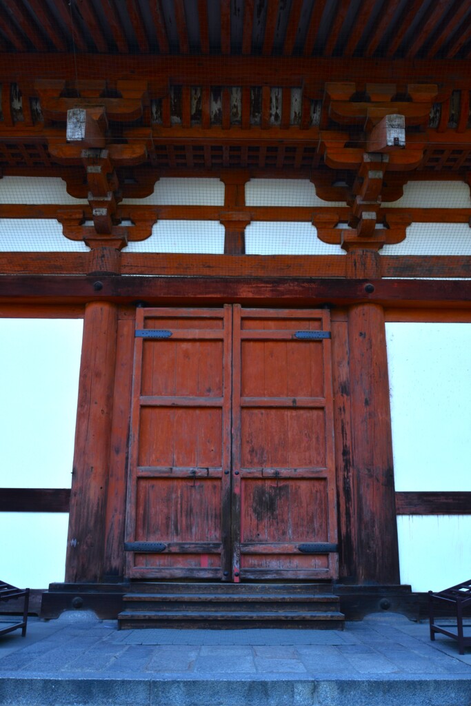 朝の東寺　④。。。！