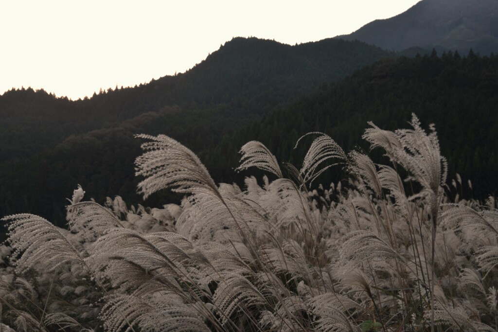 夕暮れ山の海原　➂。。。！