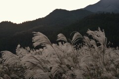 夕暮れ山の海原　➂。。。！