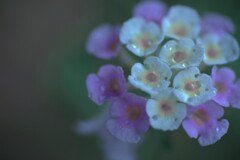 潤い　➂。。。！
