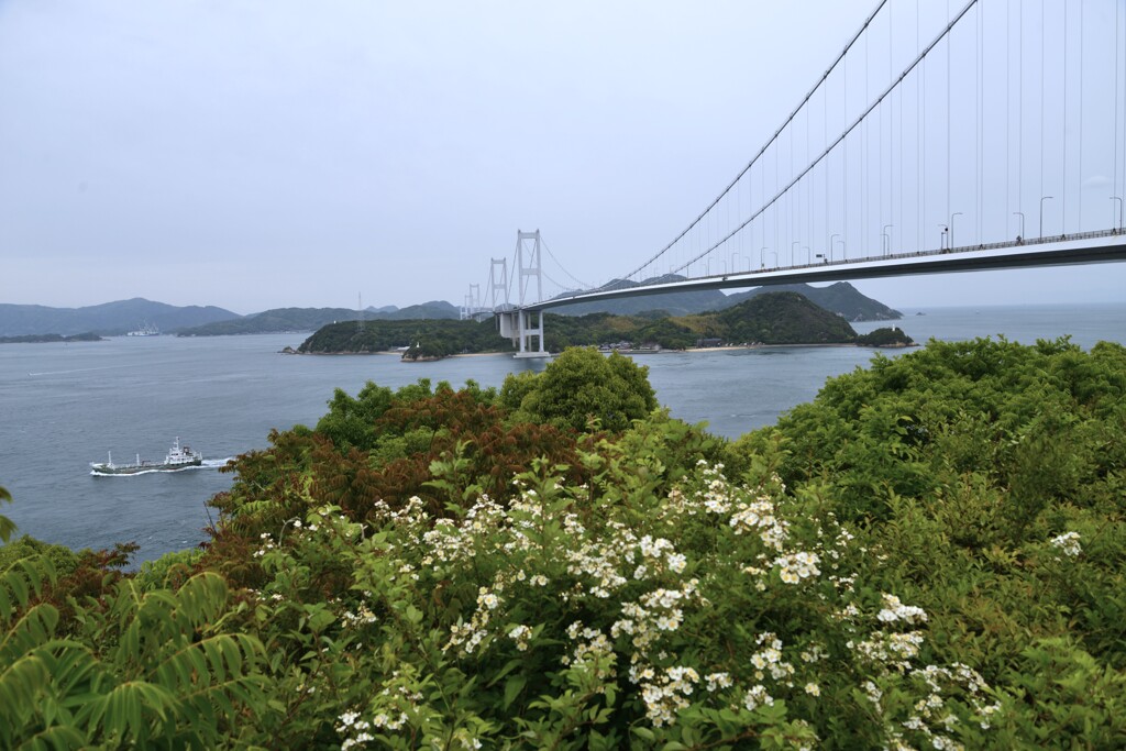 みどり目に染みる海峡　①。。。！