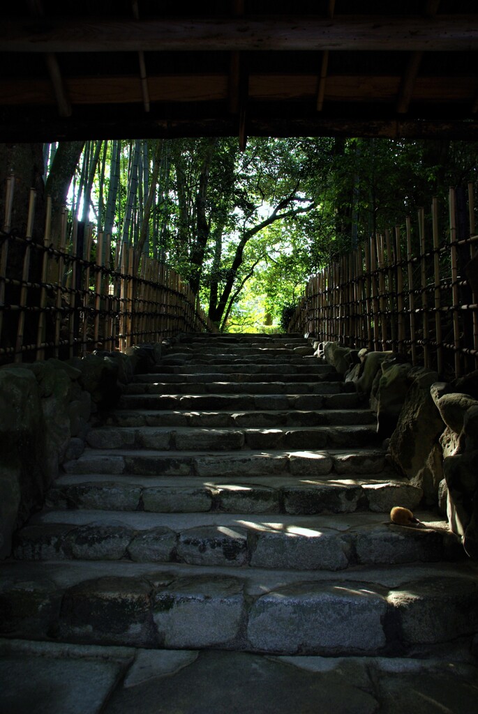 静寂を誘う。。。！