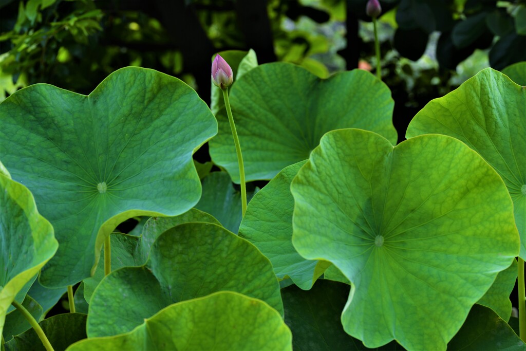 千年の宴　③。。。！