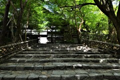 龍安寺の夏　①。。。！