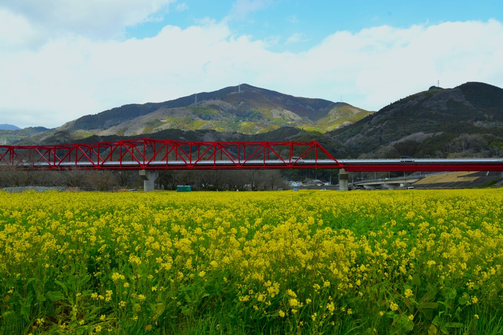 赤橋の下で　①。。。！