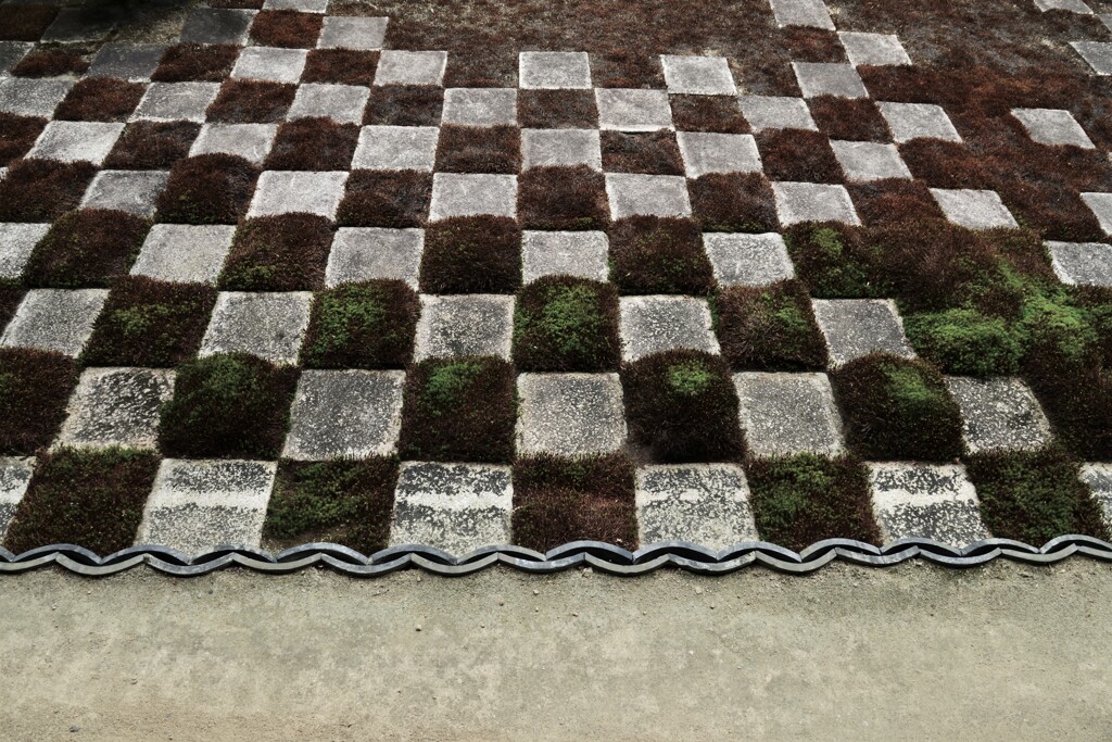 格子模様のお庭。。。！