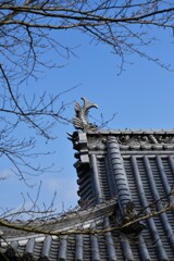 山麓の寺　⑤。。。！