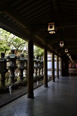 早春の椿神社　②。。。！