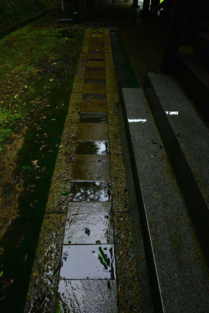 時雨の山寺にて　⑥。。。！