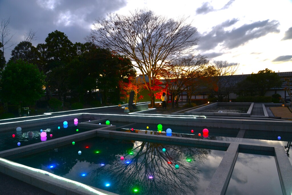 初冬の二の丸庭園　②。。。！