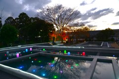 初冬の二の丸庭園　②。。。！