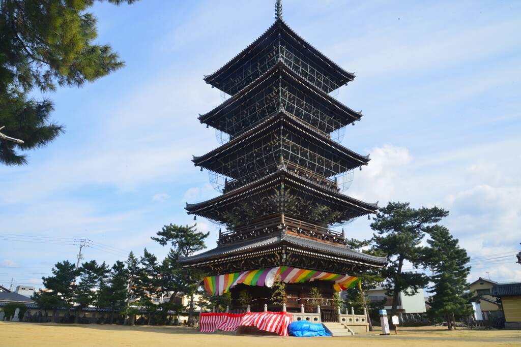 善通寺．．春一番と五重塔。。。！