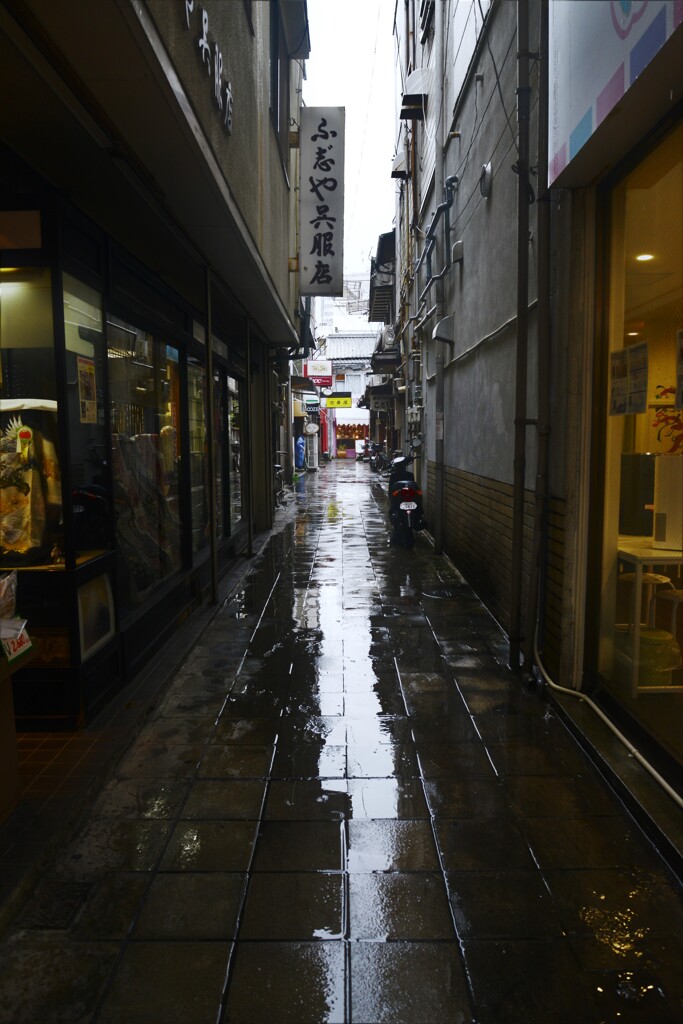 秋雨の路地裏。。。！
