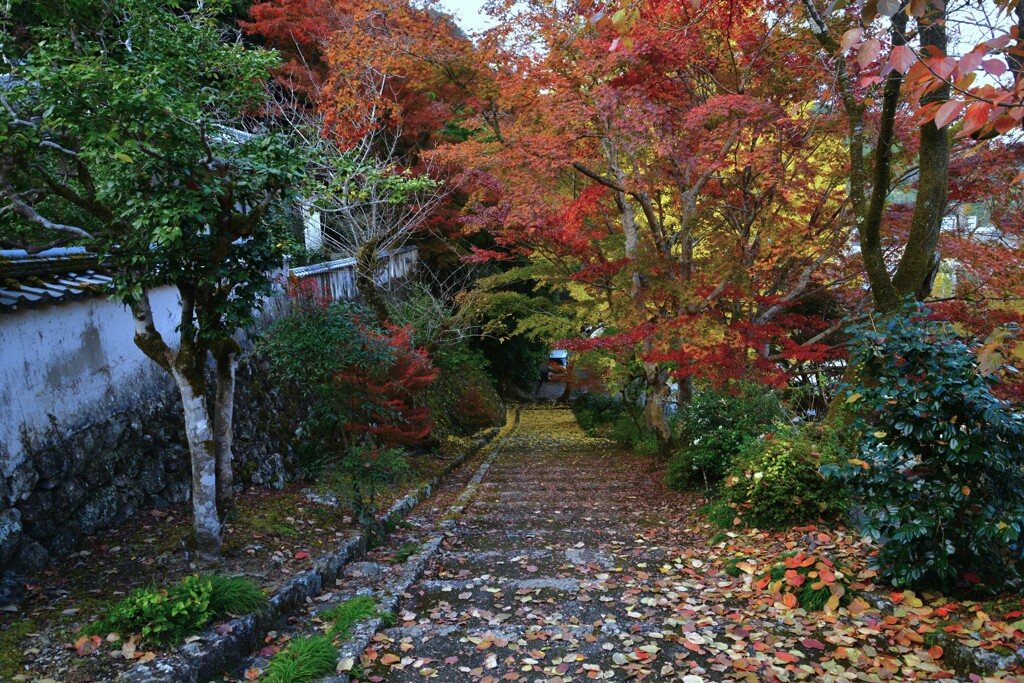 清源寺金色の石段　➂。。。！