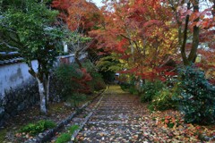 清源寺金色の石段　➂。。。！