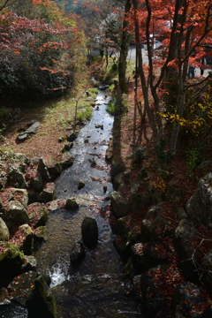 秋の小川と里村　④。。。！